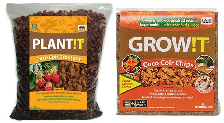Coco Chips and Coco Croutons