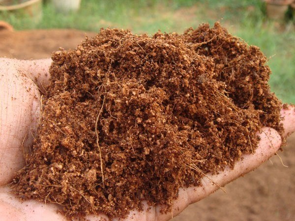 Coconut Coir What It Is, How To Use It, And The Best